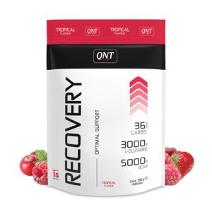 QNT Recovery Powder - Tropical - Real Nutrition Wholesale