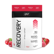 QNT Recovery Powder - Tropical - Real Nutrition Wholesale