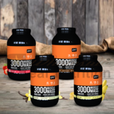 Real Nutrition Wholesale - Muscle Mass 3000